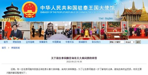 出境游误喝 绿叶水 咋办 律师 旅行社提醒,小心别惹 大麻 烦
